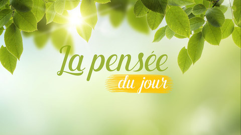 Enterrement celibataire toulouse