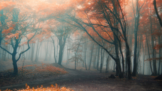 comment avoir l onction de miracle