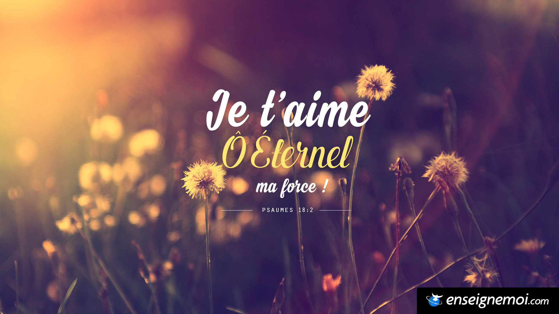 Enseigne Moi La Bible En 1 An