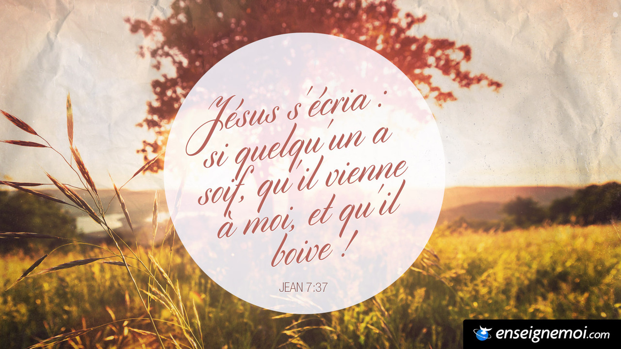 1419373195_112206_large