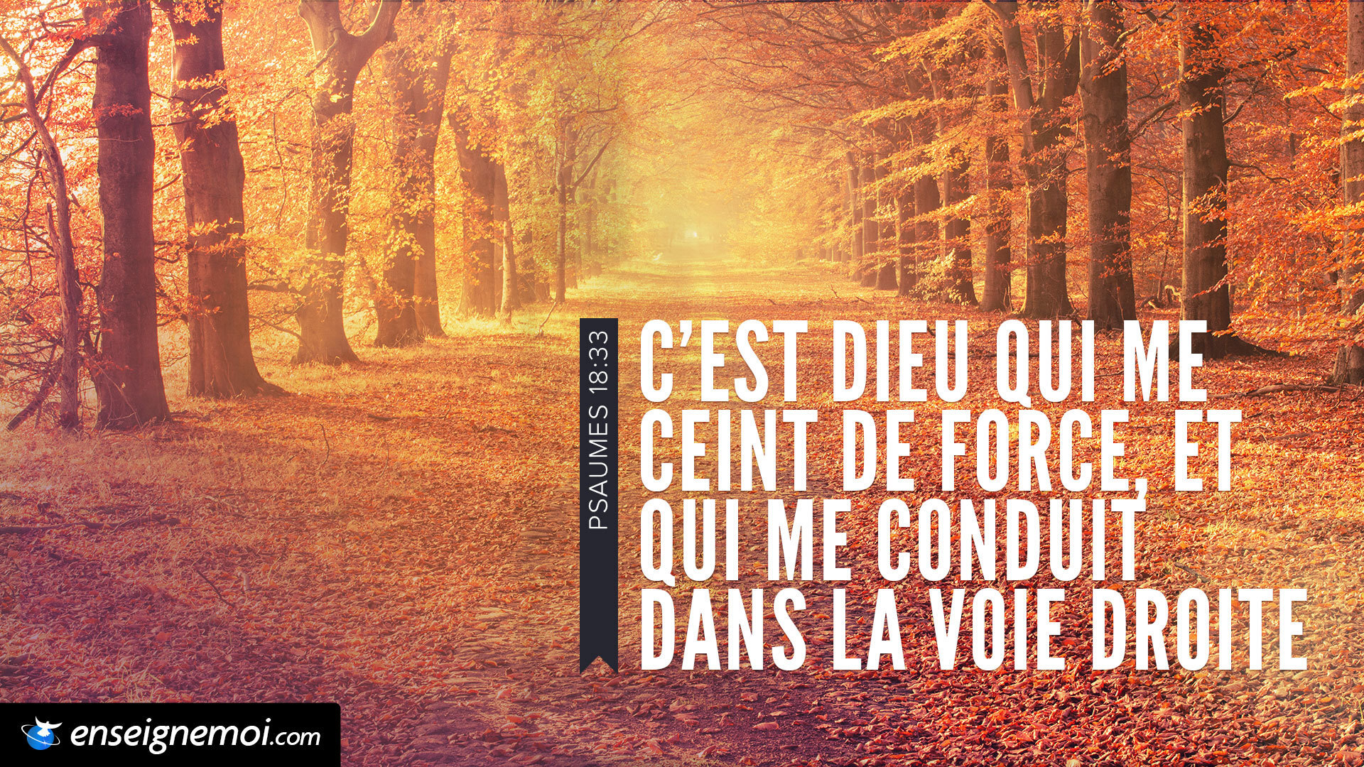 Le verset du jour en image Bible EMCI TV