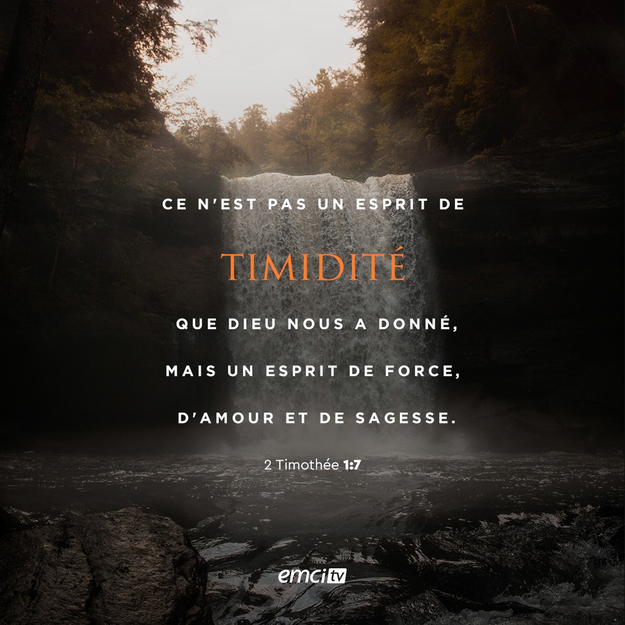 Le verset du jour en image