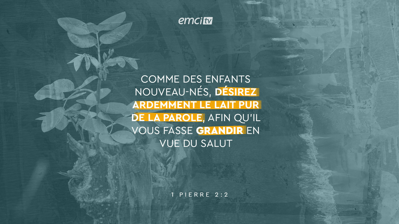 1 Pierre 2:2