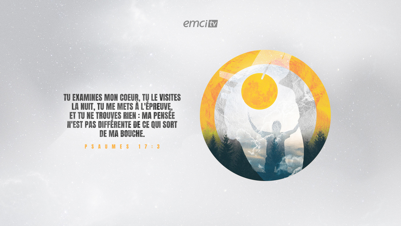 Psaumes 17:3