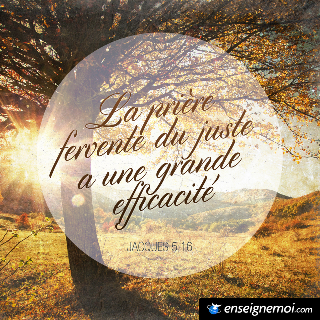 Enseigne Moi La Bible En 1 An