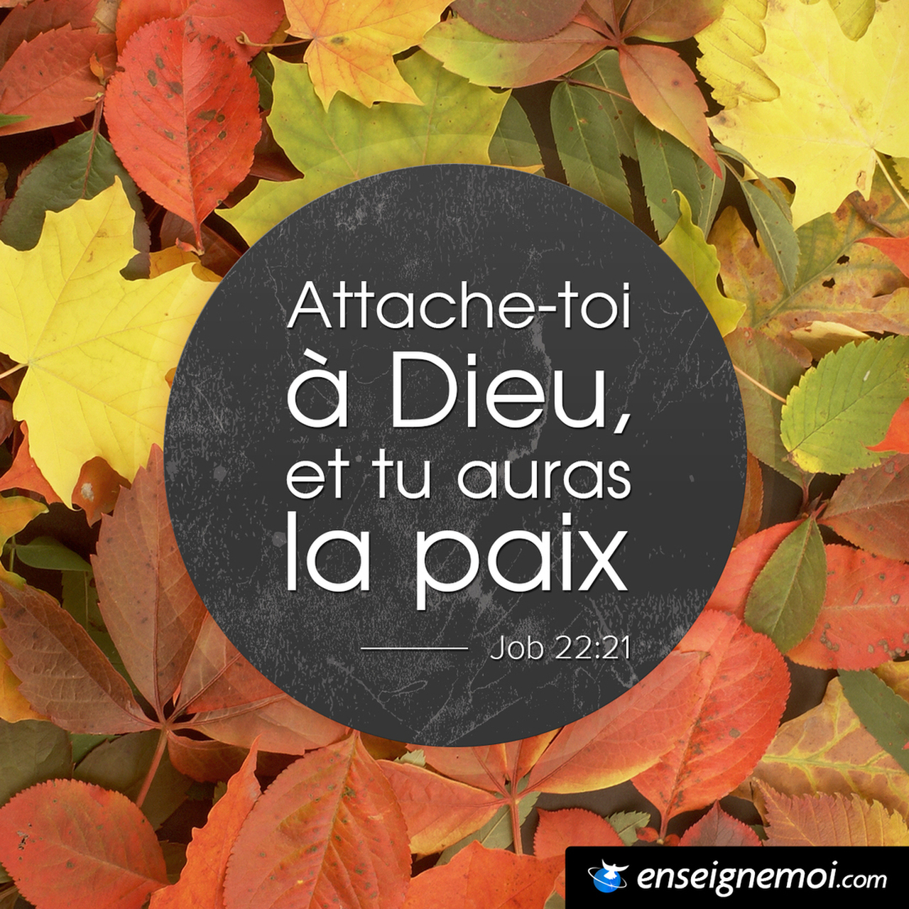 Le verset du jour en image Bible EMCI TV