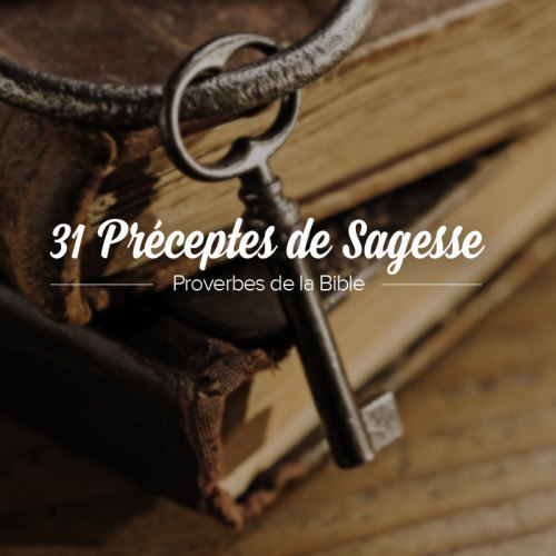 31 Preceptes De Sagesse Ecoutes Meditatives Mohammed Sanogo