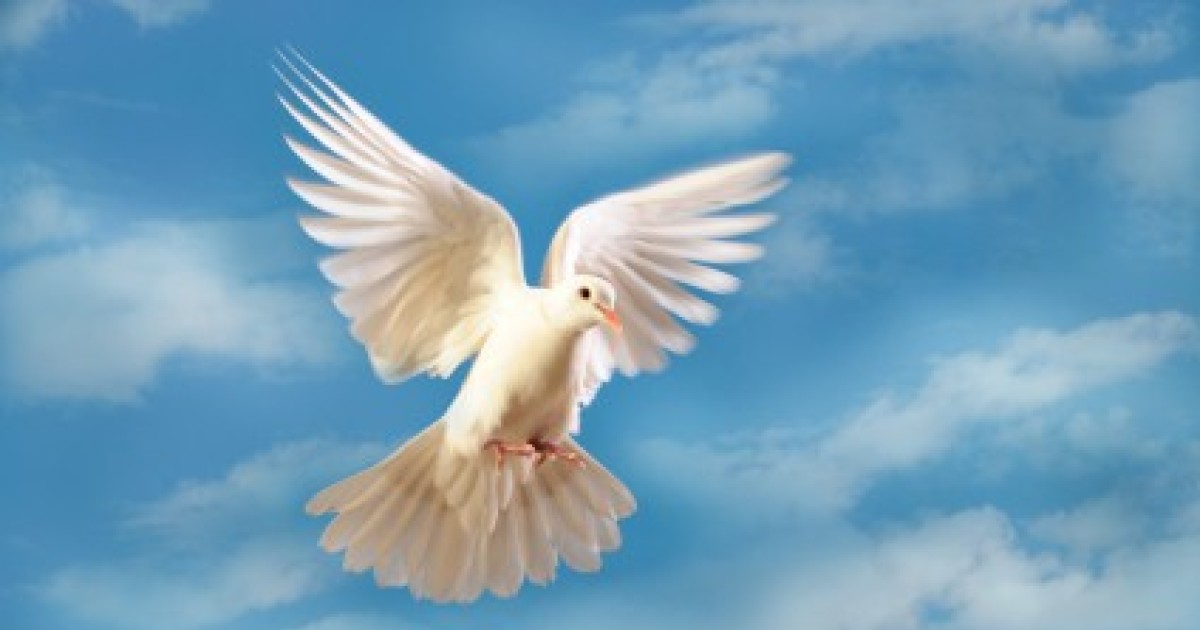 Le SaintEsprit EMCI TV