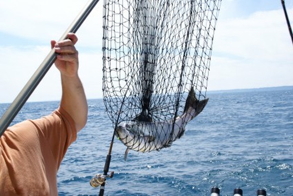 Filet de pêche authentique coupé à partir de vrais filets de pêche  commerciaux 4,5 x 4,5 m lourd noué Filet de pêche usagé récupéré auprès des  pêcheurs. -  France