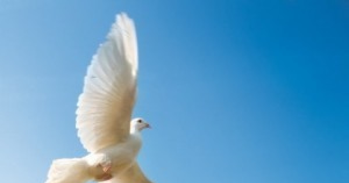 Qui est le SaintEsprit ? EMCI TV