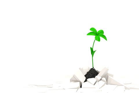 Permettez que la Parole s'enracine