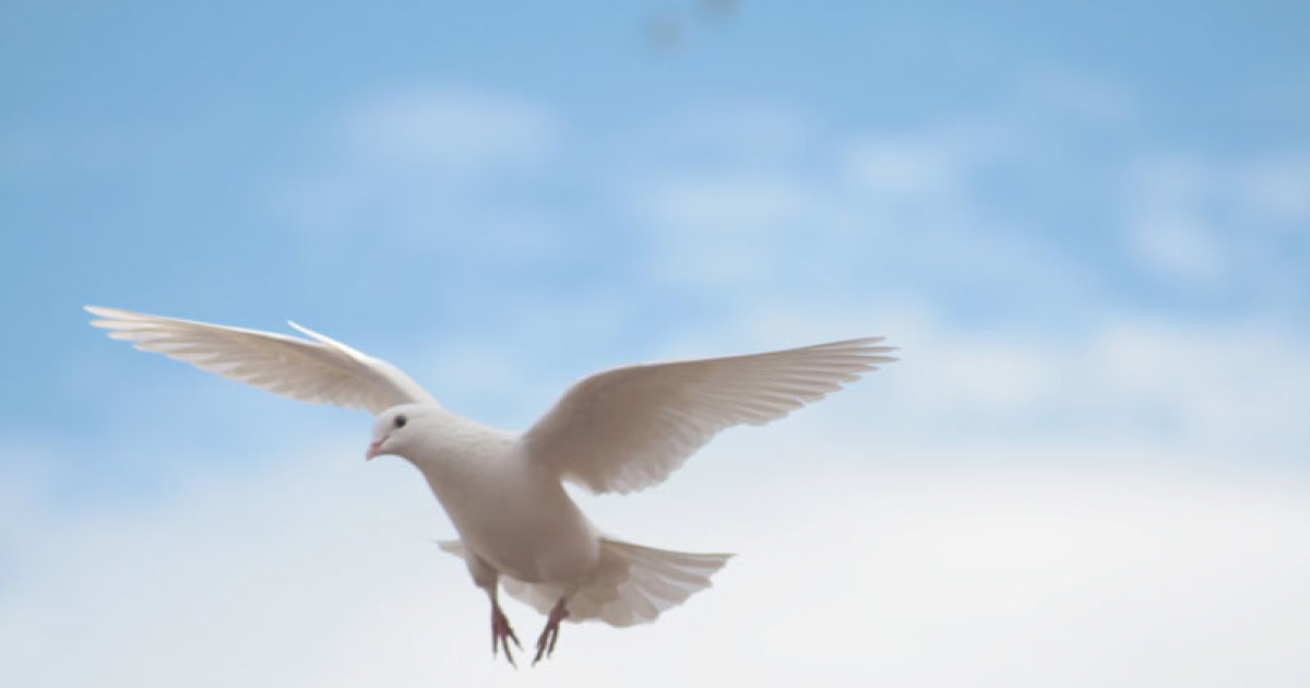 Qui est le SaintEsprit ? EMCI TV