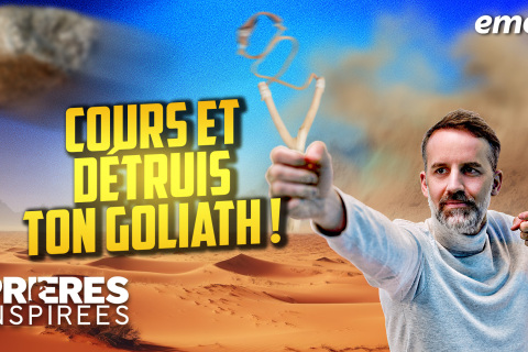 Prends ta fronde, cours et détruis ton Goliath !