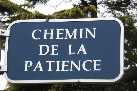 La patience, clé d'une vie épanouie
