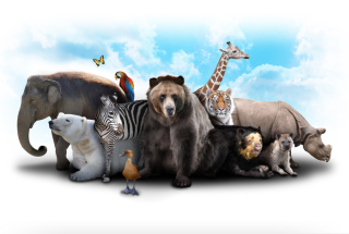 Les Animaux Dans La Bible Quiz Emci Tv